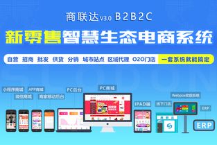 常見的商城網(wǎng)站開發(fā)語言有哪些